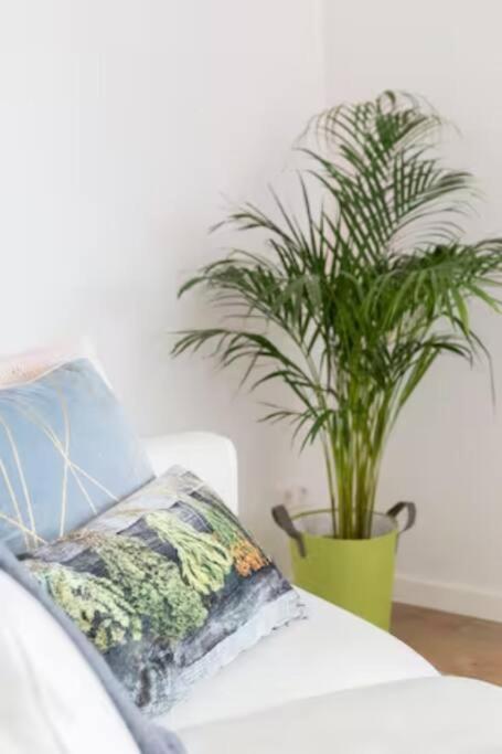 Bbwestduin Apartman Hága Kültér fotó